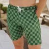 Wind And Sea Shorts, Green Check -Swim Shoreline 369A7569final