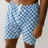 Wind And Sea Shorts, Blue Checkers -Swim Shoreline checker short square hero2